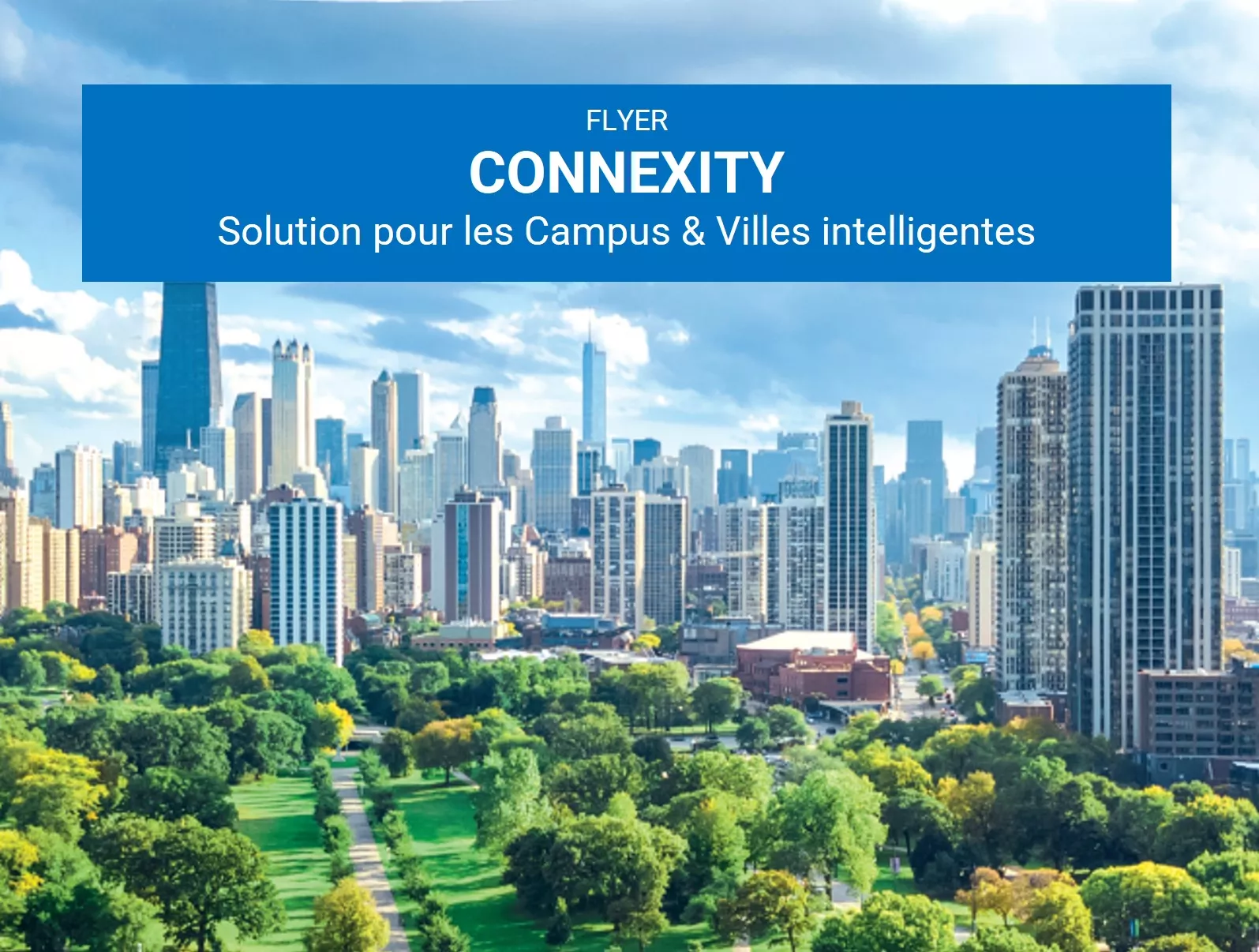 Flyer CONNEXITY